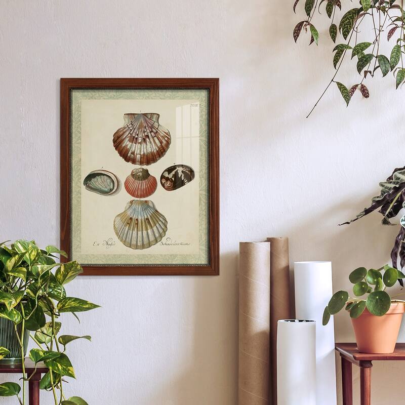Bookplate Shells III -Framed Print w/glass-Cherry Red
