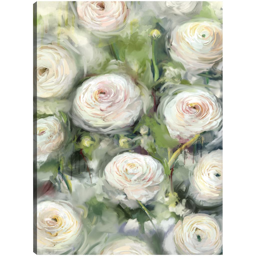 Ranunculus I By Studio Arts Canvas Art Print