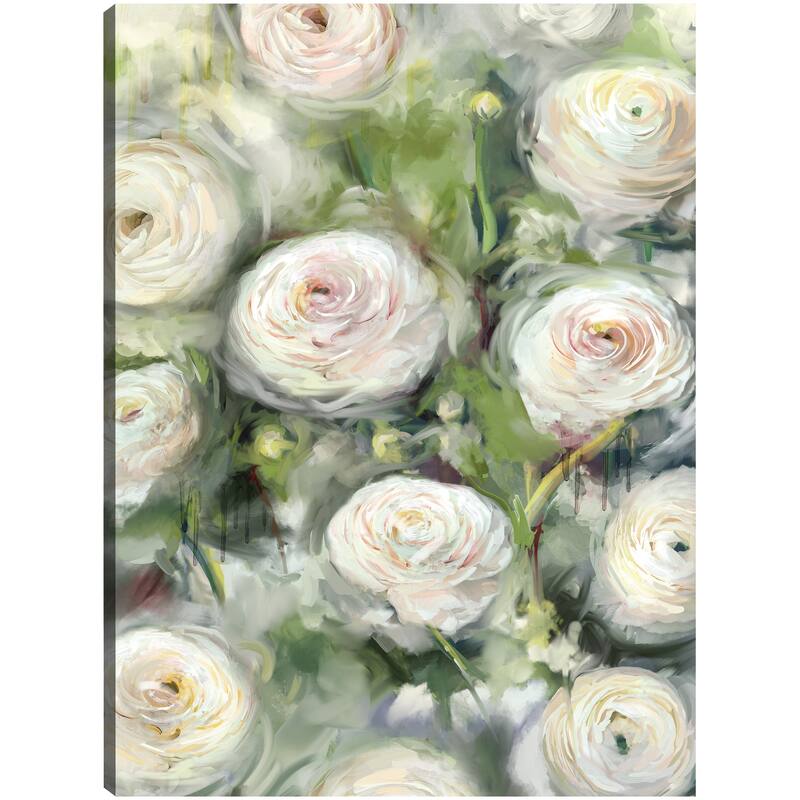 Ranunculus I By Studio Arts Canvas Art Print