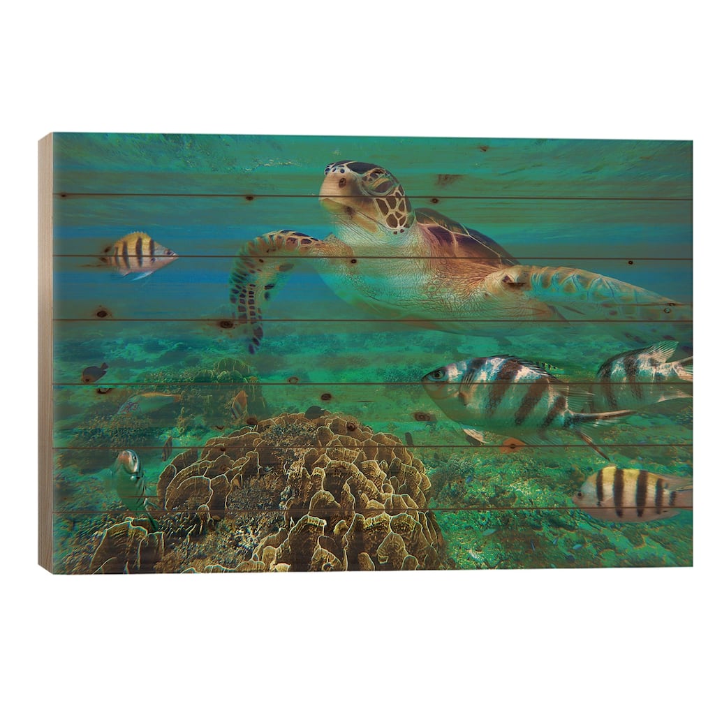 Green Sea Turtle And Sergeant Major Damselfish Group, Negros Oriental, Philippines Print On Wood by Tim Fitzharris - Multi-Color