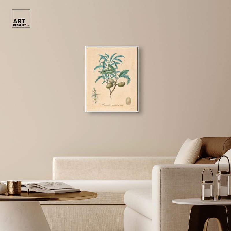 Almond of Georgia II Canvas by Art Remedy