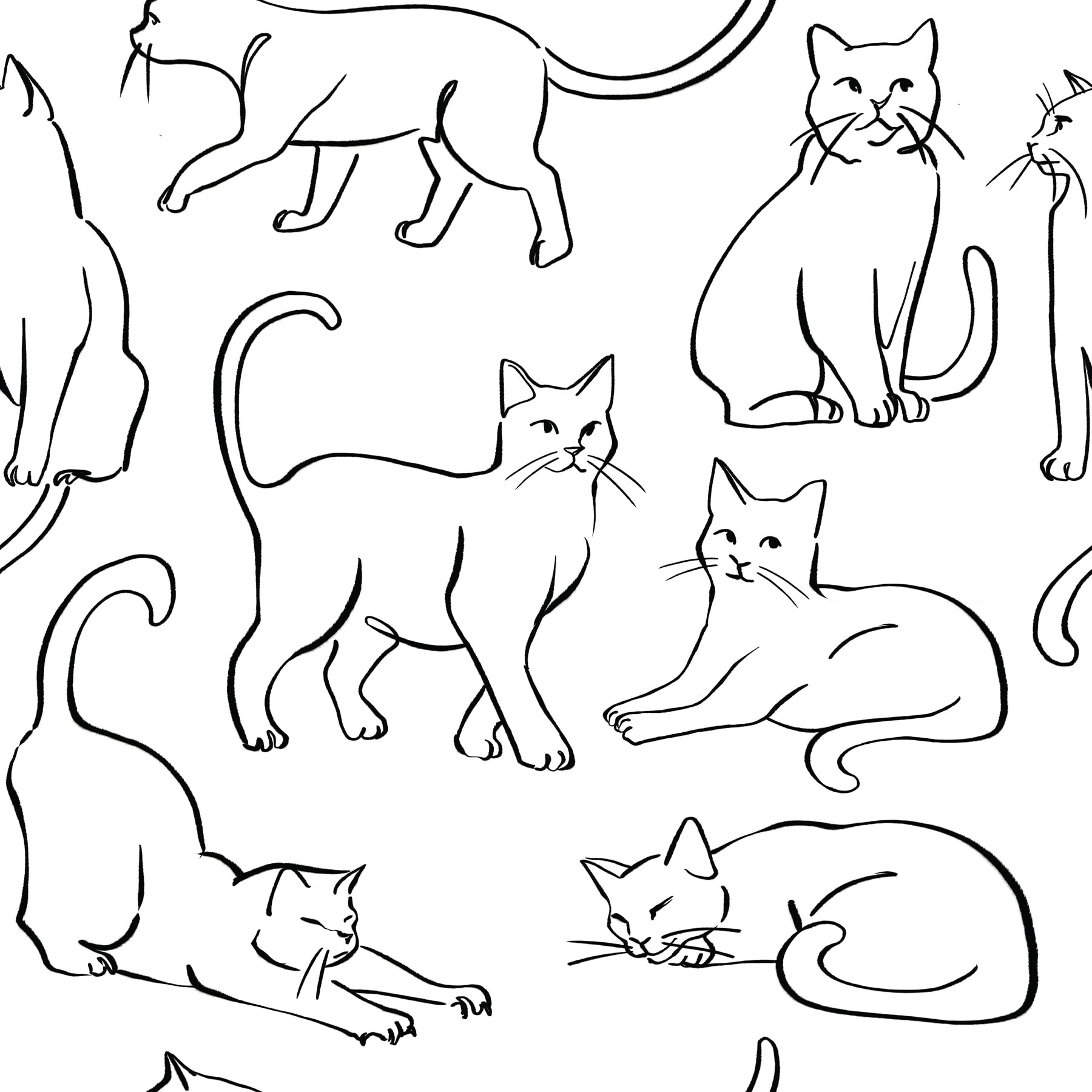 RoomMates Cat Poses Black and White Peel and Stick Wallpaper