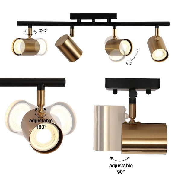 Gold spotlights new arrivals