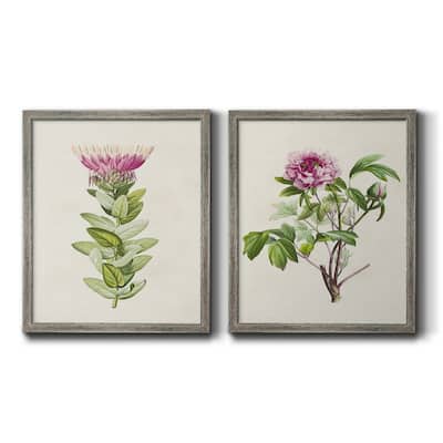 Pretty Pink Botanicals IV Premium Framed Canvas - Ready to Hang - Multi-Color