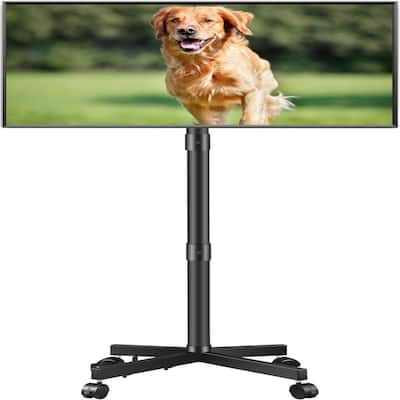Rolling TV Stand