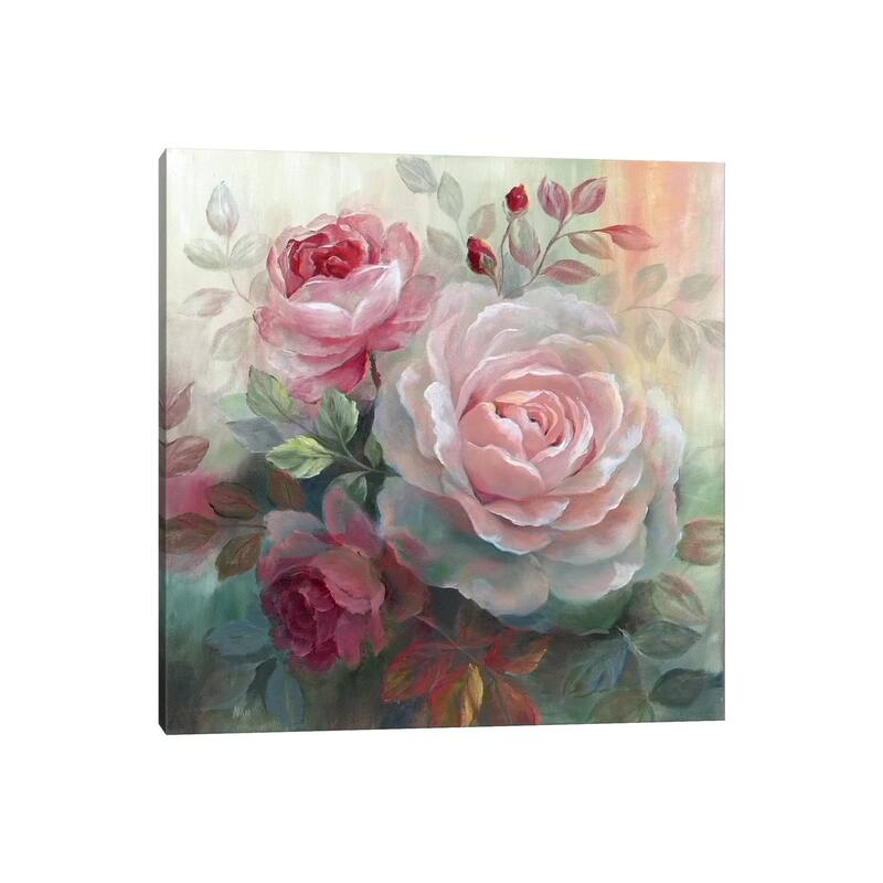 iCanvas "White Roses II" by Nan Canvas Print