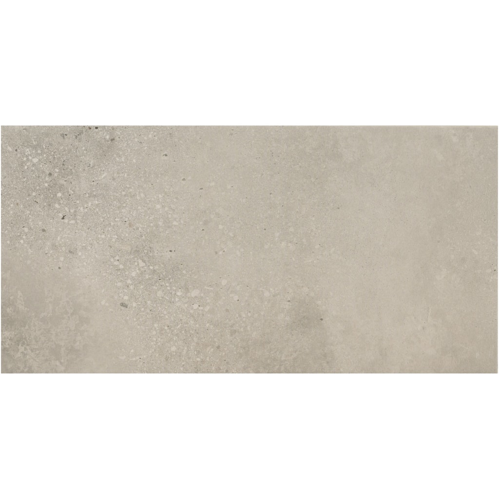 Ackland AKNPTTRA24X48M-CA Traverse - 24" x 48" Porcelain Solid Floor