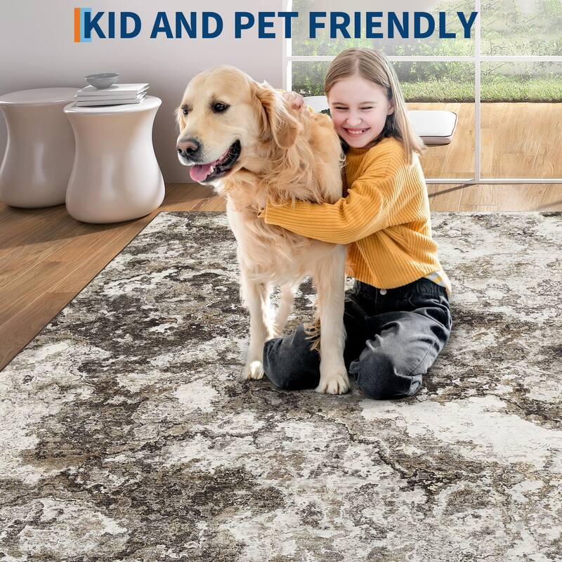 Machine Washable Area Rugs for Living Room, Modern Abstract Bedroom Rug, Low Pile Non-Slip Carpet