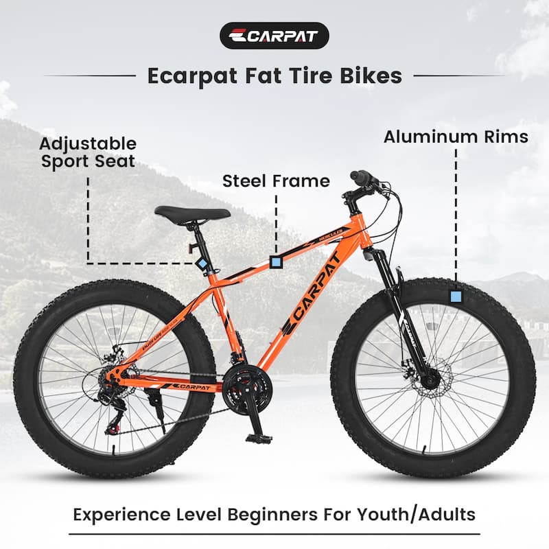26 Inch Fat Tire Bike Adult/Youth Full Shimano 21 Speed Mountain Bike