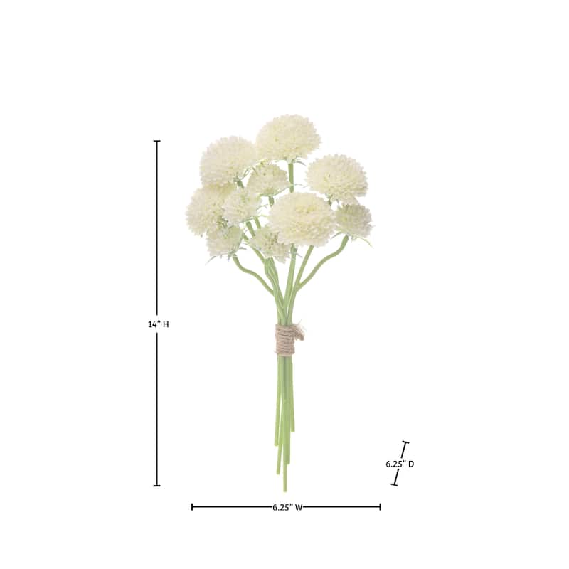14" Scabiosa Bundle