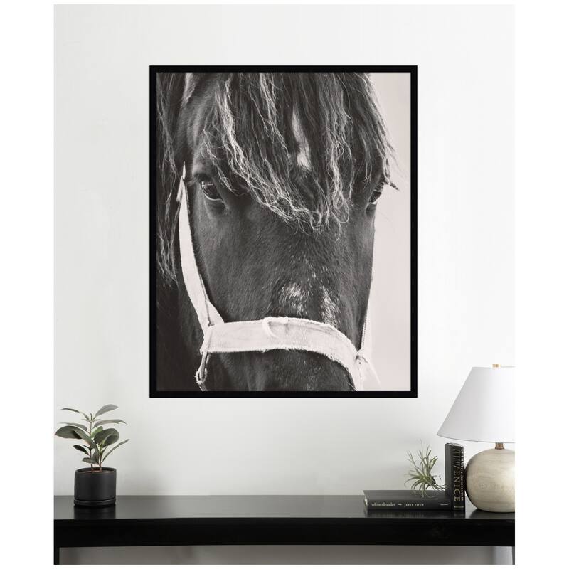 Kate and Laurel Black Horse by Emiko and Mark Franzen F2 Images Framed Wall Art Print