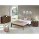 Option Walnut