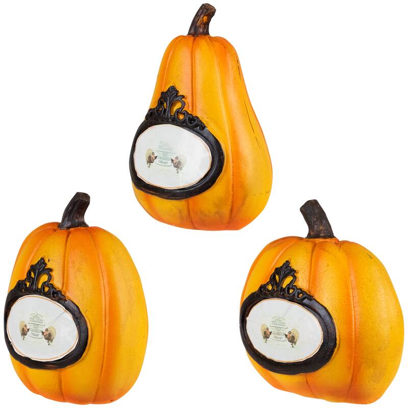 "Thanks, Today, Tomorrow, Always" Fall Harvest Pumpkin Decorations - 5.5" - Set of 3