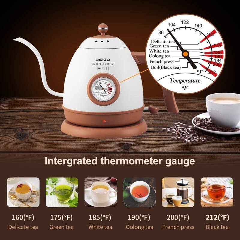 Gooseneck Electric Kettle with Thermometer, 100 Stainless Steel for