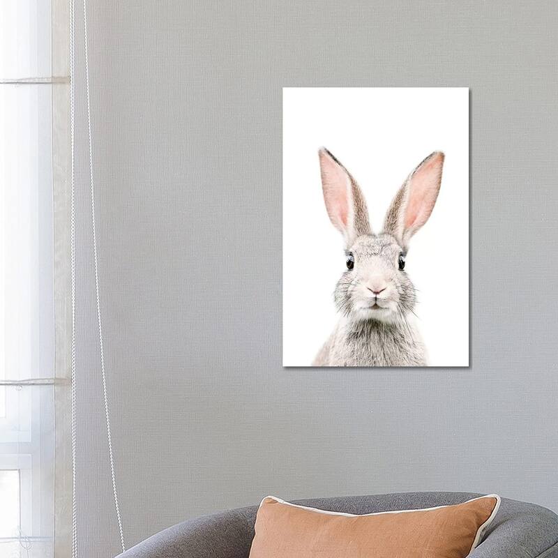 iCanvas "Bunny" by Sisi & Seb Canvas Print - 26x18x1.5