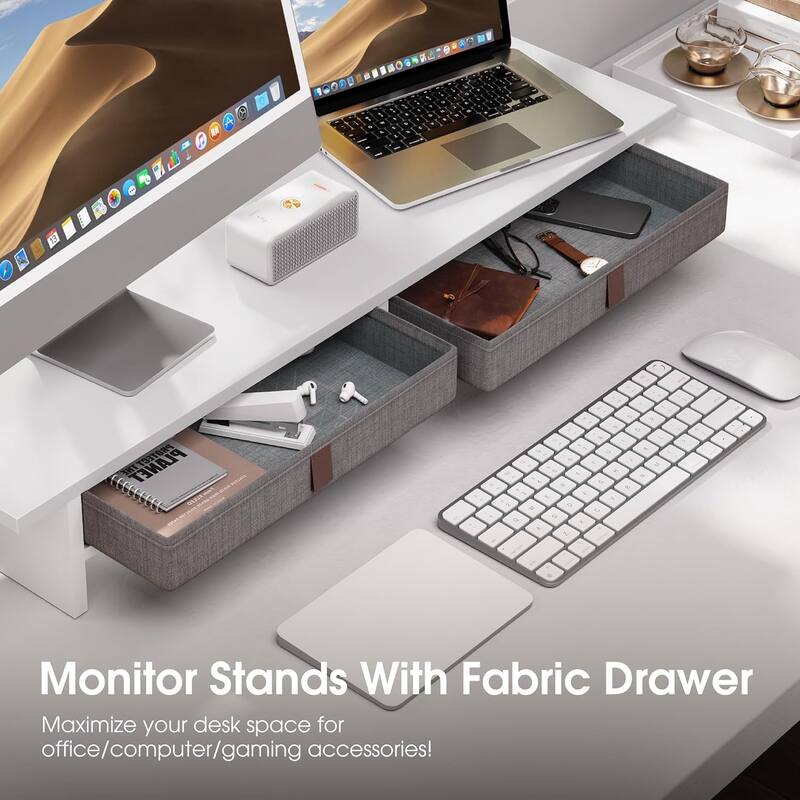 Fenge Dual Monitor Stand, 2 Tiers Monitor Riser for Desk