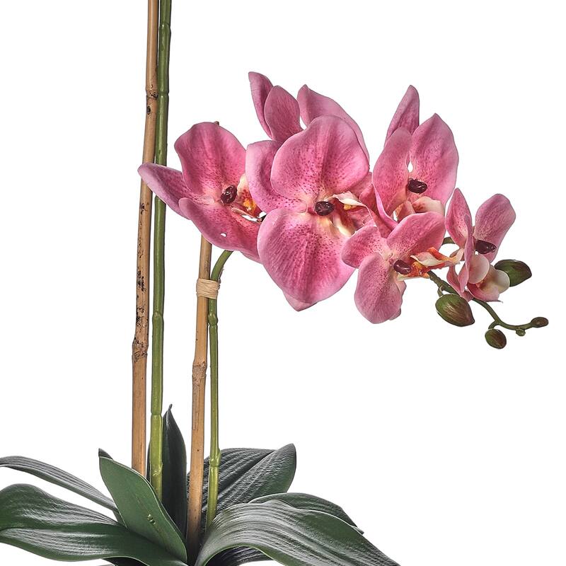 24" Natural Touch Phaleanopsis In Cement Pot