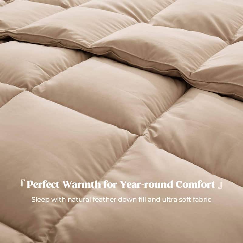 Year-round & Lightweight White Goose Down Duvet Insert Comforter