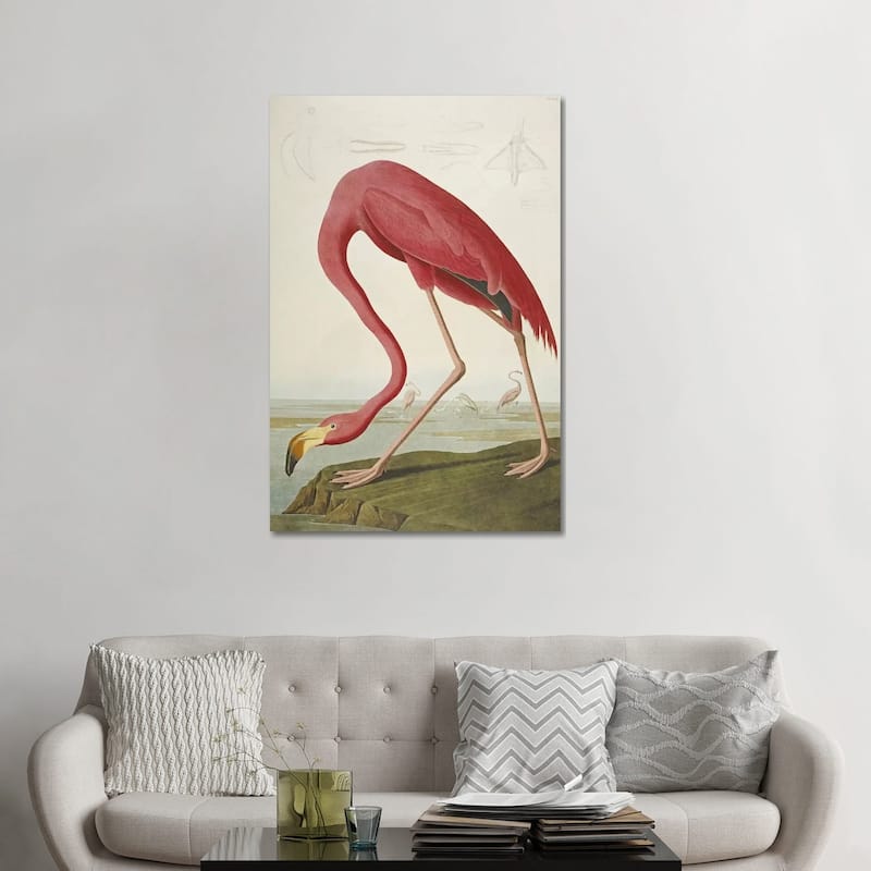 iCanvas 'American Flamingo' by John James Audubon Canvas Print - 48x32x1.5
