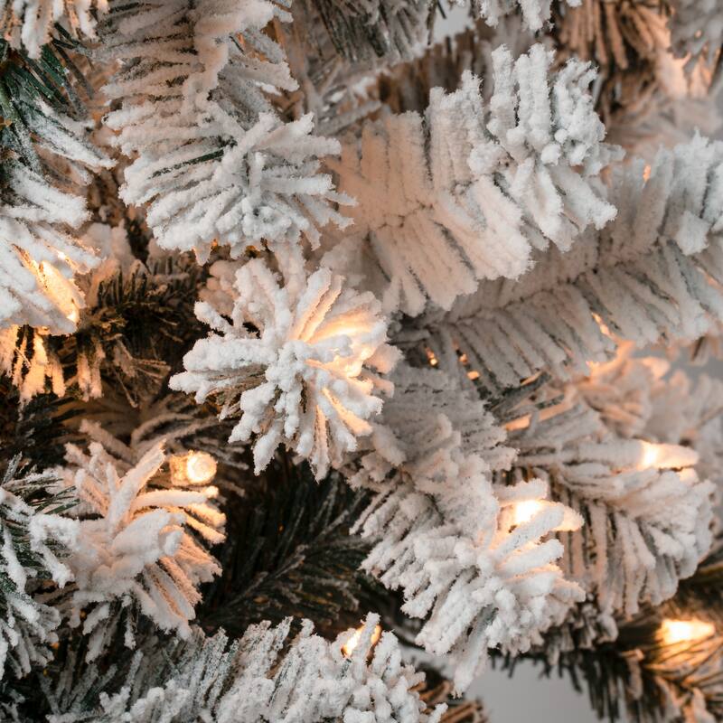 National Tree Company 4.5 ft. Acacia Medium Flocked Tree with Clear Lights - 4.5 Foot