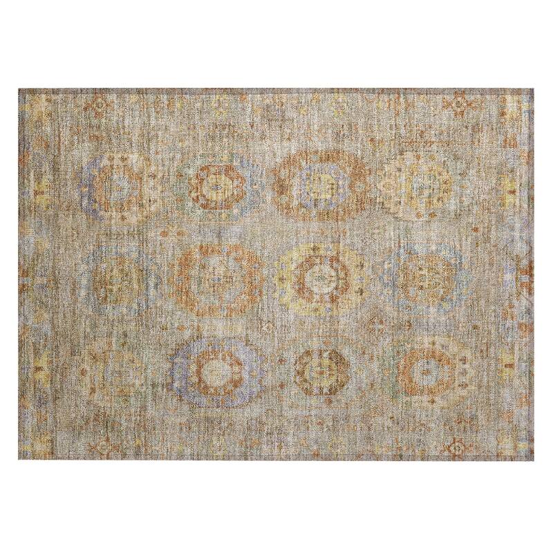 Machine Washable Indoor/ Outdoor Vintage Traditional Chantille Rug