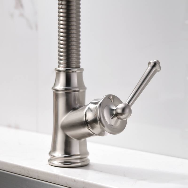 Kitchen Faucet with Pull Down