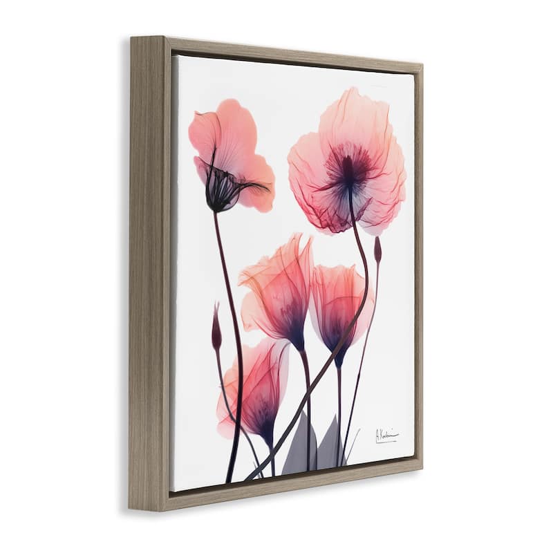 Stupell Elegant Modern Poppy Buds Framed Floater Canvas Wall Art Design By Albert Koetsier