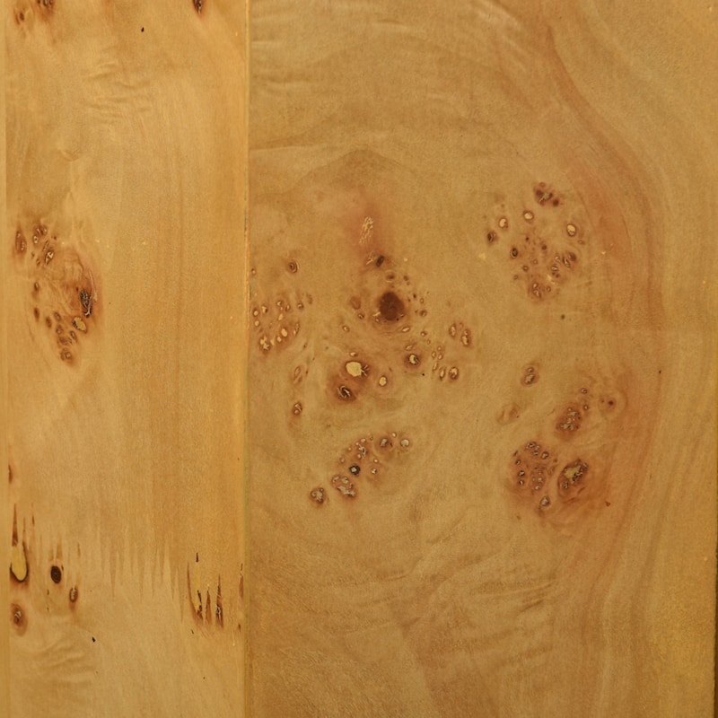 StyleCraft Solano Burl Mirror-Top Pedestal Side Table