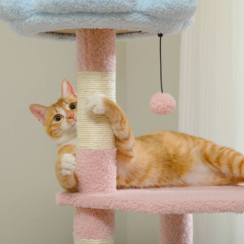 Multi-Level Cat Tree