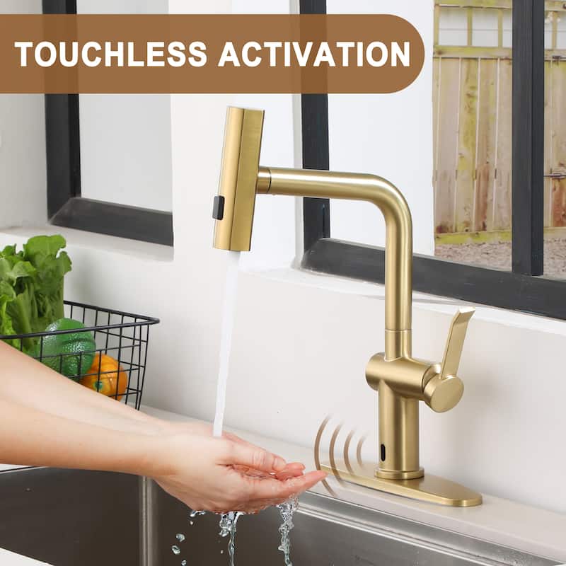 Single Handle Pull Down Sprayer Kitchen Faucet with 3 Functions Spray - Brushed Gold