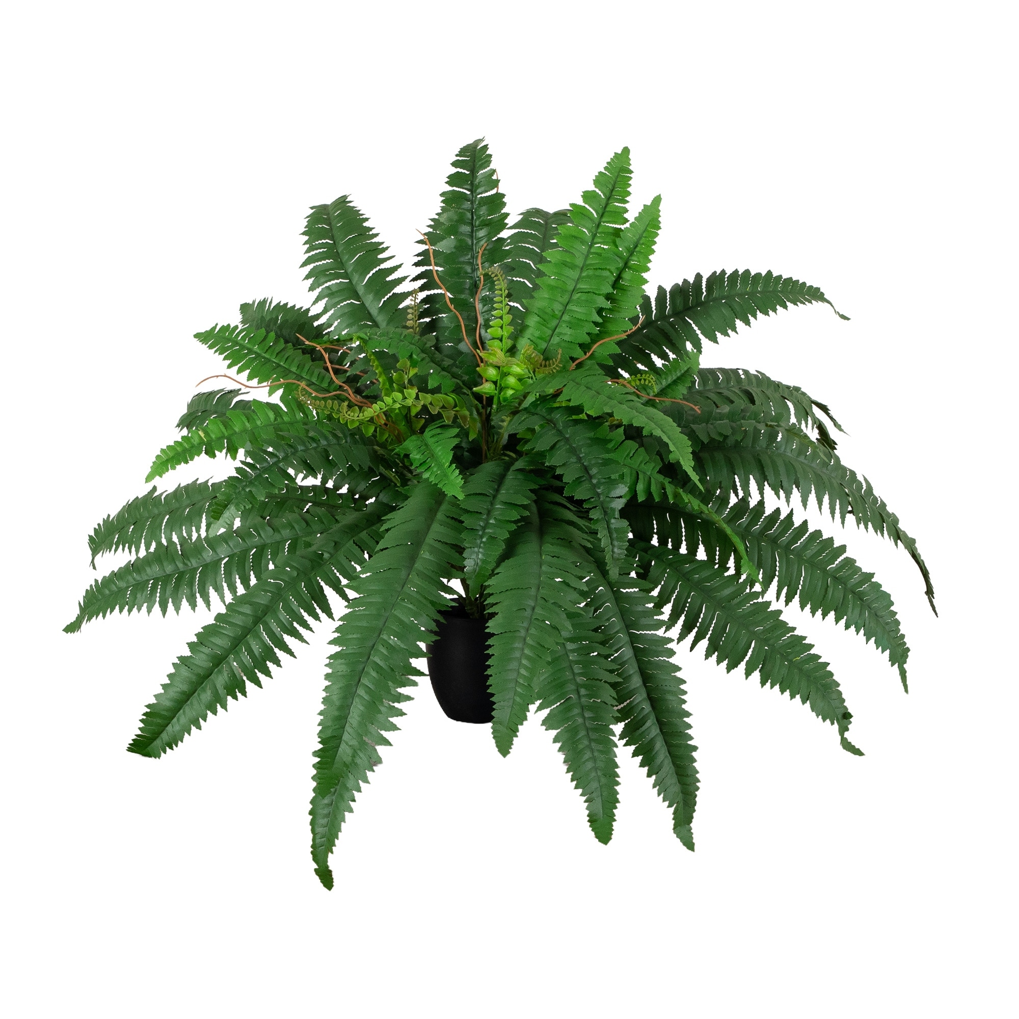 24-in Artificial Self-Shaped Boston Fern Plant in Black Planter