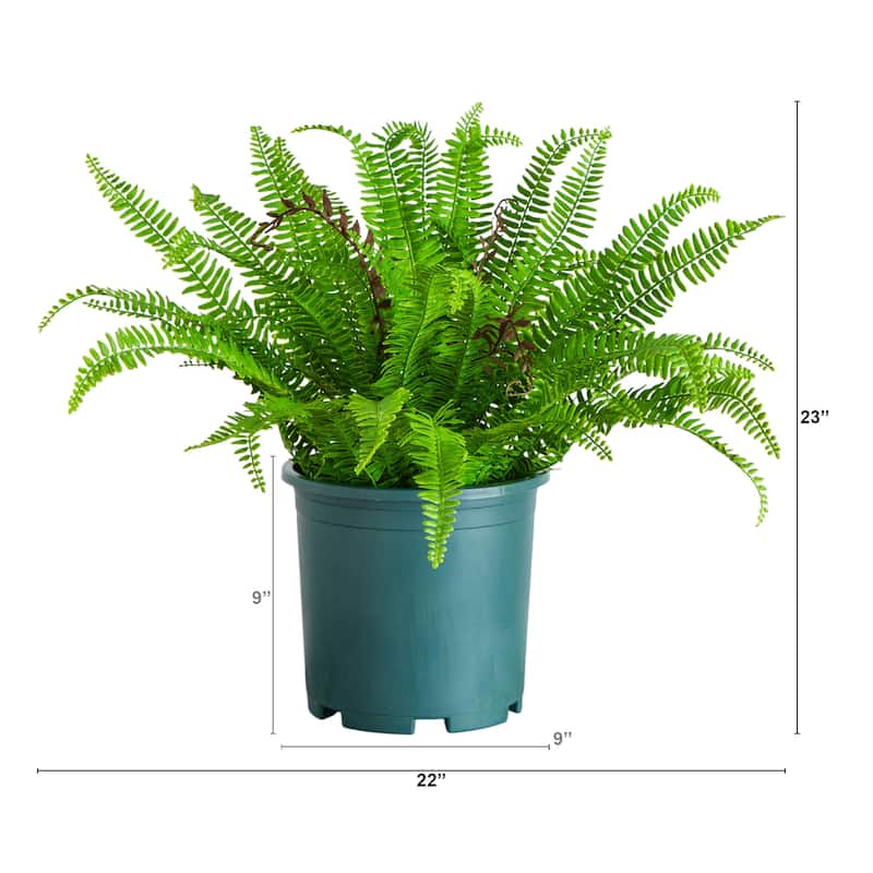 23-in UV Resistant Artificial Boston Fern Plant (Indoor/Outdoor) - Green