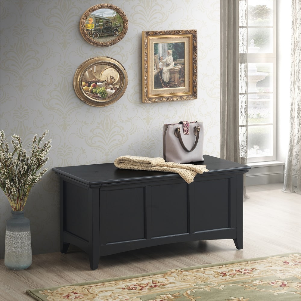 Carolina Living Aura Storage Chest