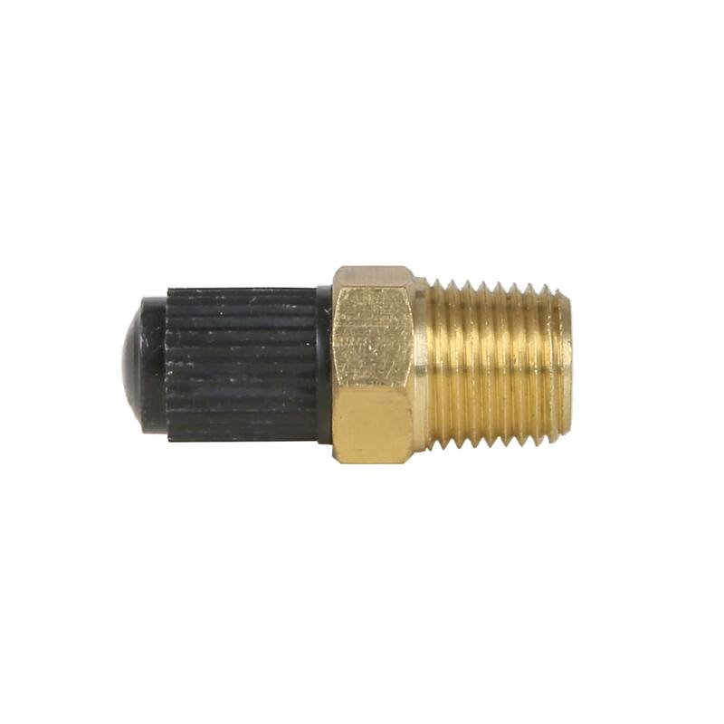 Jones Stephens G64002 1/8" Schrader Valve with Cap - Natural