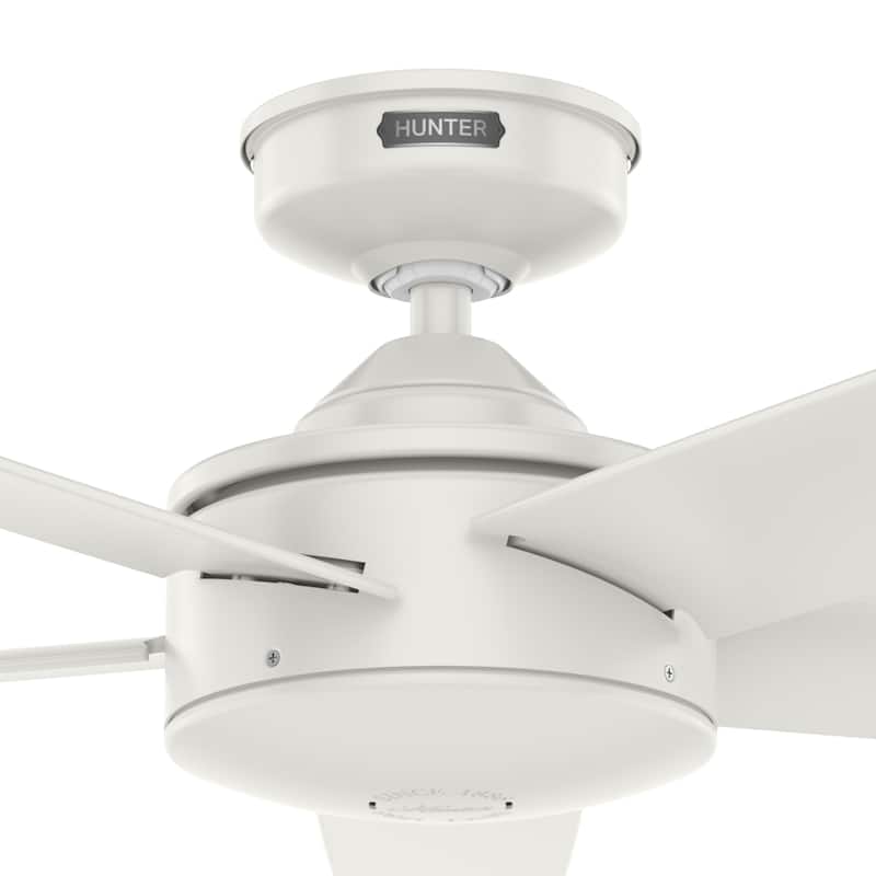 Hunter 52" Shorebreak WeatherMax Indoor / Outdoor Ceiling Fan w/ Wall Control - Extreme Weather, Salt & Corrosion-Resistant