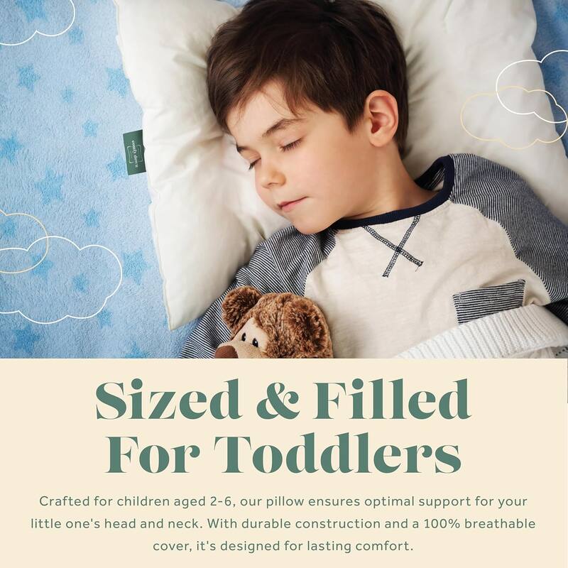 ComfyDown Toddler Pillow - Filled with 800-FP Goose Down, 300-TC Cotton Cover