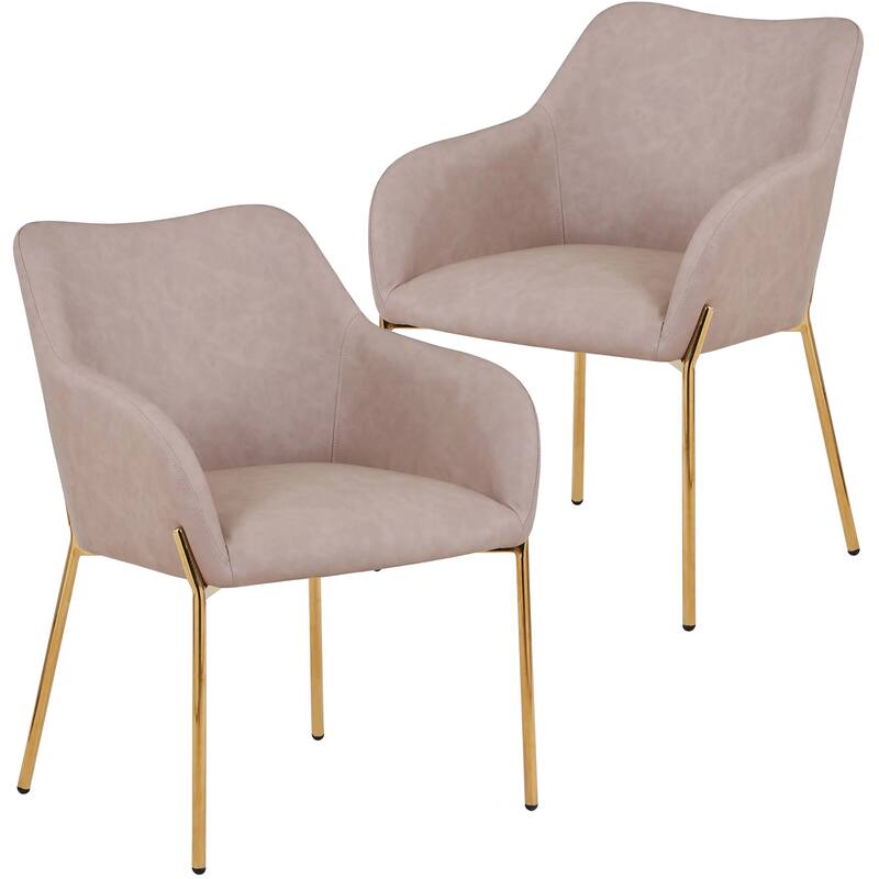 Zaire Upholstered Dining Chair in Velvet/Leather/Boucle with Gold Chrome Iron Set of 2 - Taupe