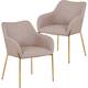 Option Taupe