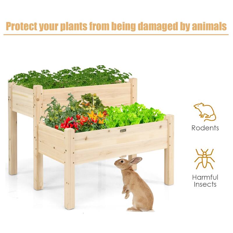 2-Tier Raised Garden Bed with Fir Wood and Drainage Holes for Plants - 34" x 33.5" x 28.5" (L x W x H)