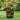 Brown Resin Tiered Bowls Outdoor Fountain