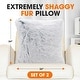 preview thumbnail 108 of 136, Cheer Collection Super Soft Shaggy Long Hair Throw Pillows Set of 2 Plush Accent Cushions
