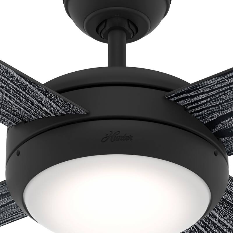 Hunter 52" Marconi Ceiling Fan with LED Light and Wall Control