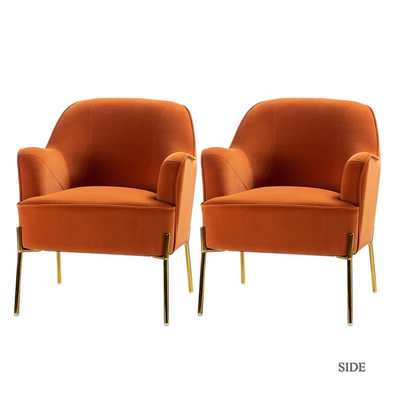 Marina Modern Velvet Accent Chair with Golden Legs Set of 2 by HULALA HOME