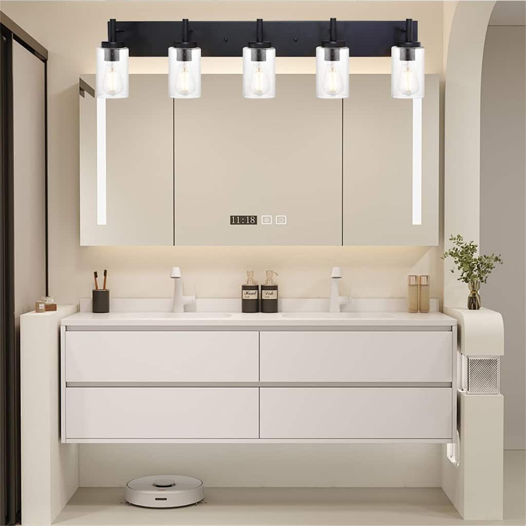 5-Light Black Vanity Light with Seeded Glass Shades