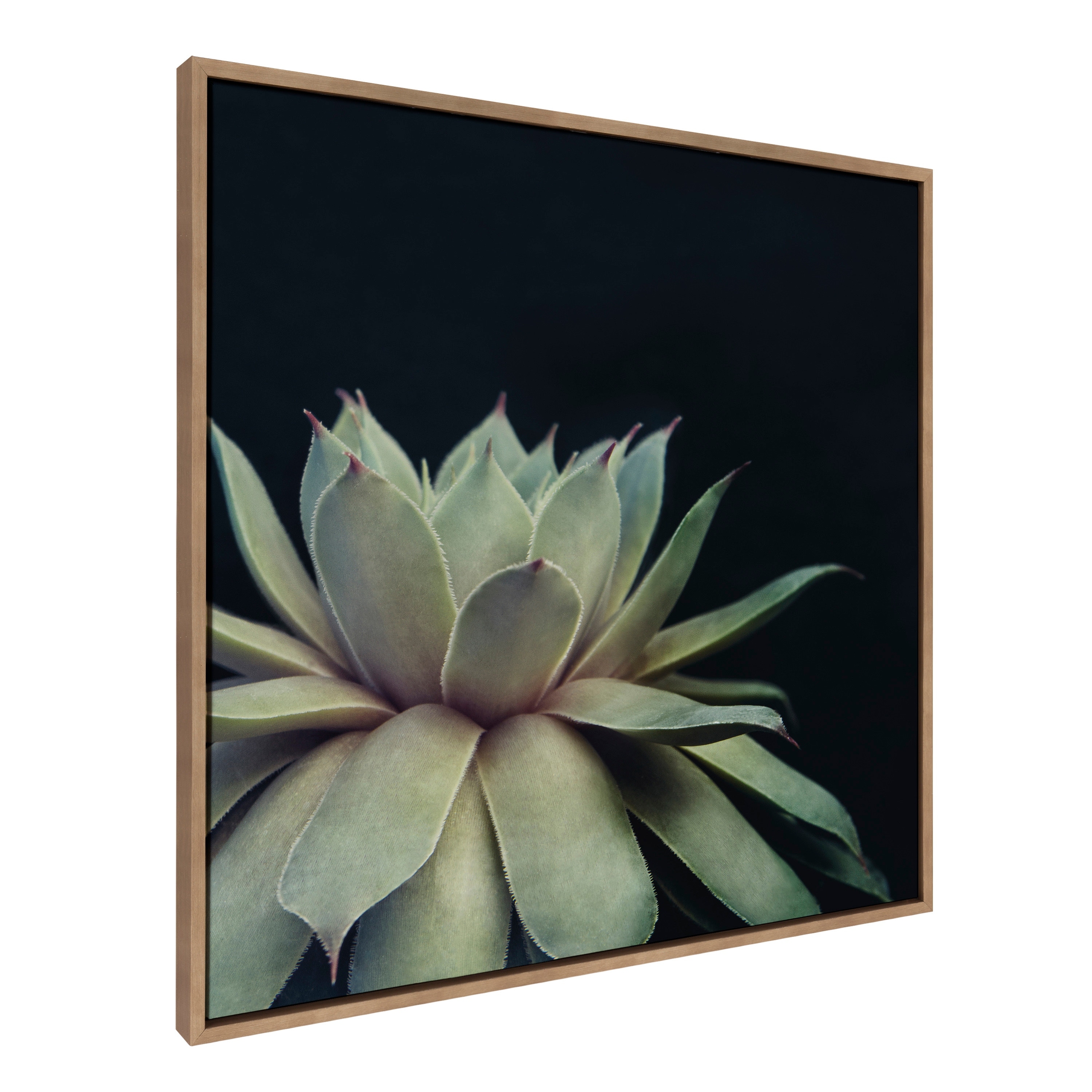 Sylvie Succulent 18x24 Gold Framed Canvas Wall Art by F2 Images Bed Bath   Beyond 17854134