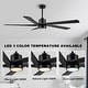 preview thumbnail 2 of 12, WINGBO 64 Inch DC Ceiling Fan with Lights and Remote Control, 5 Reversible Carved Wood Blades