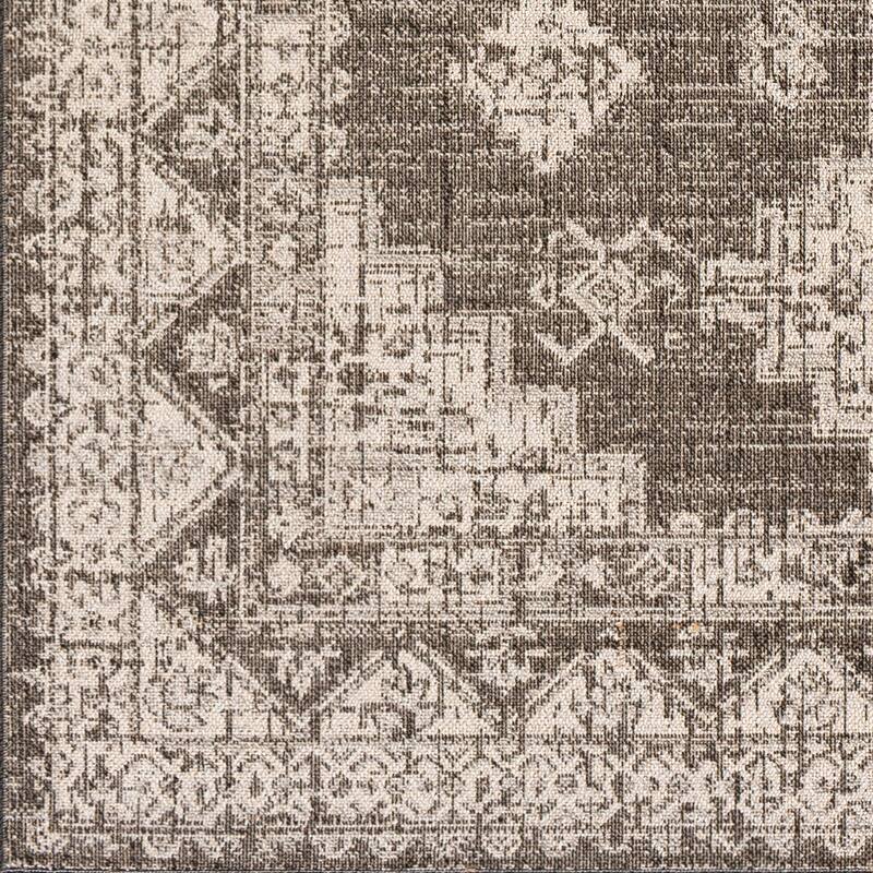 Susannah Indoor / Outdoor Updated Traditional Area Rug