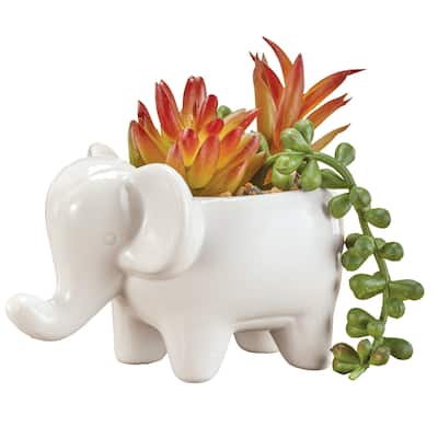 Fake Colorful Succulent in Elephant Planter - 5.5 x 4.5 x 3.25