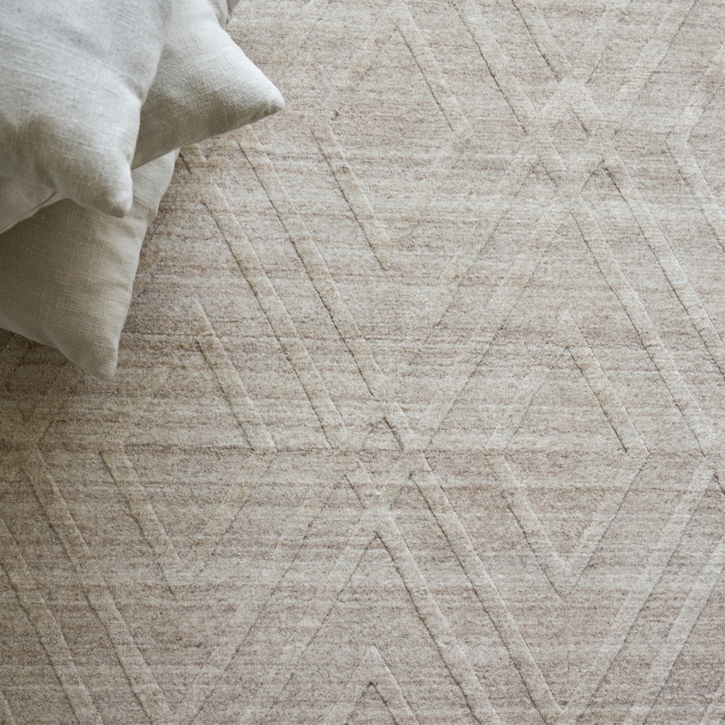 EXQUISITE RUGS Castelli Hand-loomed Bamboo Silk/Wool Light Beige Area Rug.