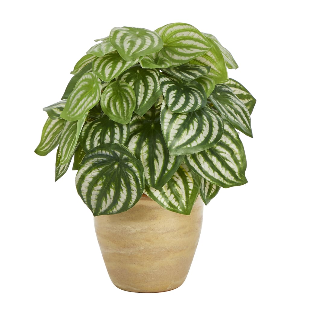 11" Watermelon Peperomia Plant in Ceramic Planter (Real Touch)